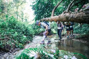 BIB: 
                            <button type="button" onclick="openModal(25445315)" class="btn btn-primary btn-sm float-right btn-popup" data-toggle="modal" data-target=".modal-high-quality">
                        <i class="fas fa-shopping-cart"></i> Add to Cart
                    </button>
                                            <button type="button" onclick="isThisMe(25445315, true)" class="btn btn-success btn-sm float-right btn-popup btn-isme hidden" data-toggle="tooltip" data-placement="bottom" title="นี่คือรูปของคุณใช่ไหม คลิกที่นี่เพื่อเอาเข้าอัลบั้ม">
                        <i class="fas fa-plus"></i> Add to album
                    </button>
                    <button type="button" onclick="isThisMe(25445315, false)" class="btn btn-warning btn-sm float-right btn-popup btn-isnotme hidden">
                        <i class="fas fa-ban"></i> Remove from album
                    </button>